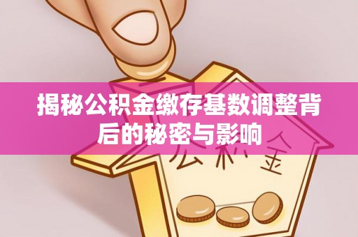 黄陂揭秘公积金缴存基数调整背后的秘密与影响