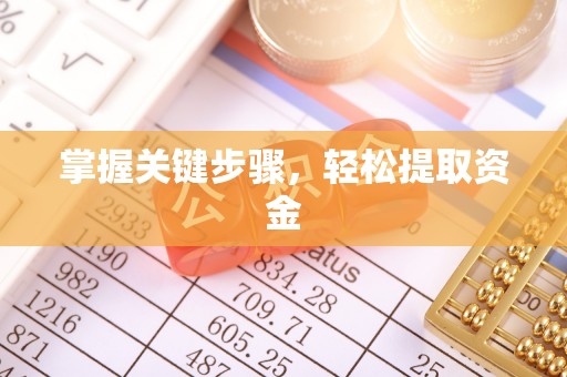 黄陂掌握关键步骤，轻松提取资金