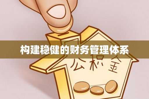 黄陂构建稳健的财务管理体系