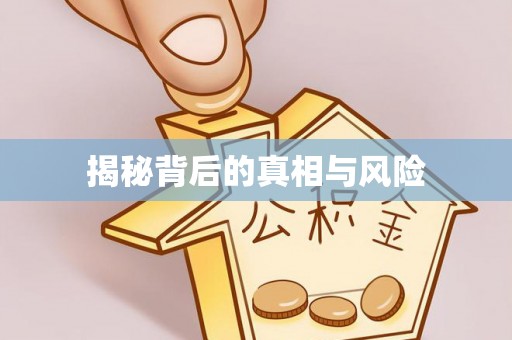 黄陂揭秘背后的真相与风险