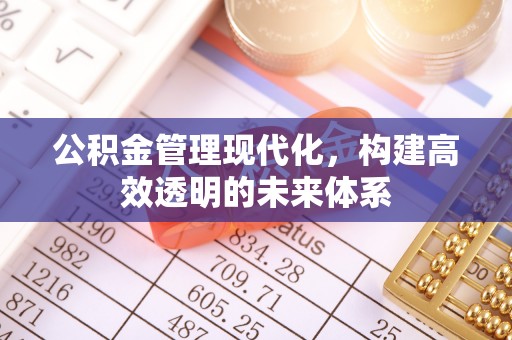 黄陂公积金管理现代化，构建高效透明的未来体系