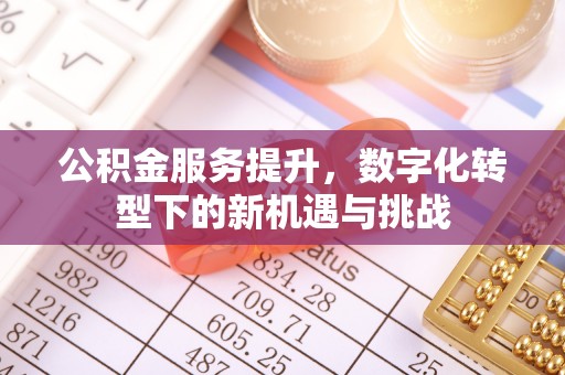 黄陂公积金服务提升，数字化转型下的新机遇与挑战