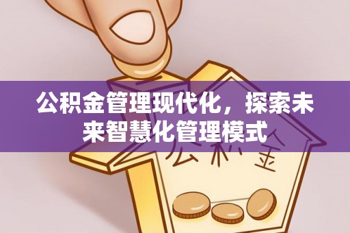黄陂公积金管理现代化，探索未来智慧化管理模式