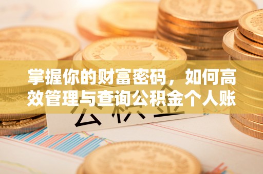 黄陂掌握你的财富密码，如何高效管理与查询公积金个人账户信息