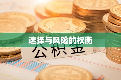 黄陂选择与风险的权衡