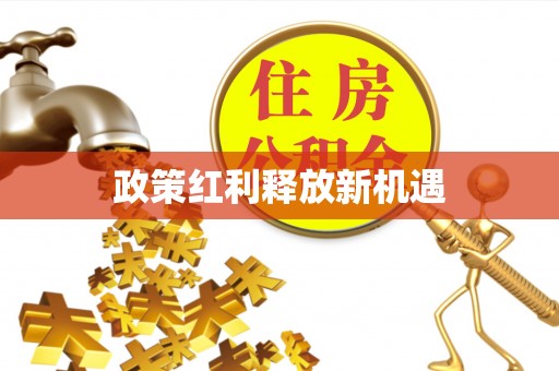 黄陂政策红利释放新机遇