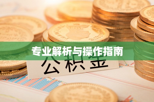 黄陂专业解析与操作指南