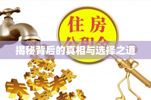 黄陂揭秘背后的真相与选择之道