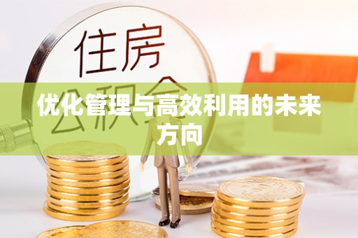 黄陂优化管理与高效利用的未来方向