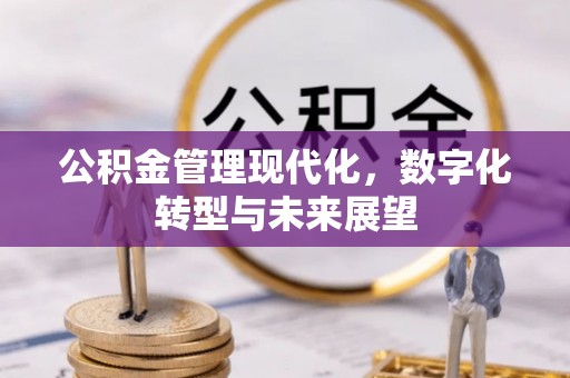 黄陂公积金管理现代化，数字化转型与未来展望