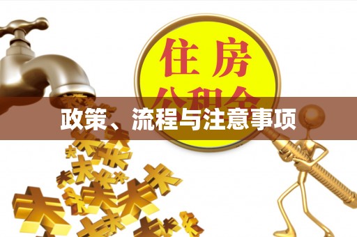 黄陂政策、流程与注意事项