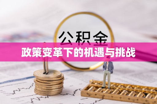 黄陂政策变革下的机遇与挑战