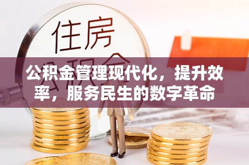 黄陂公积金管理现代化，提升效率，服务民生的数字革命