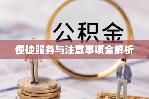 黄陂便捷服务与注意事项全解析