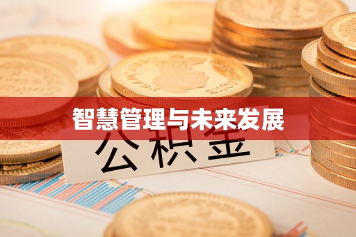 黄陂智慧管理与未来发展