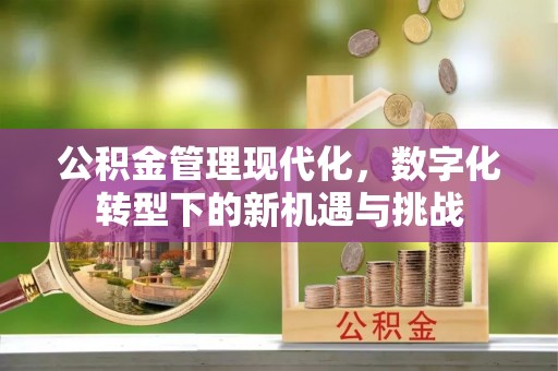 黄陂公积金管理现代化，数字化转型下的新机遇与挑战