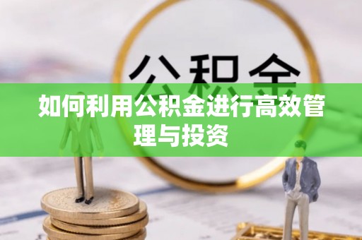 黄陂如何利用公积金进行高效管理与投资