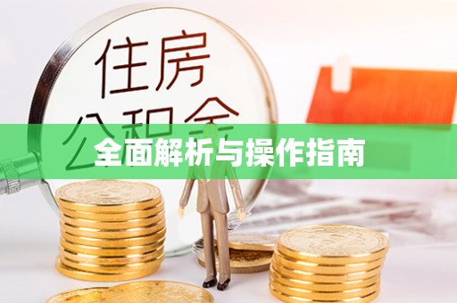 黄陂全面解析与操作指南