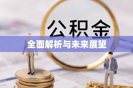黄陂全面解析与未来展望