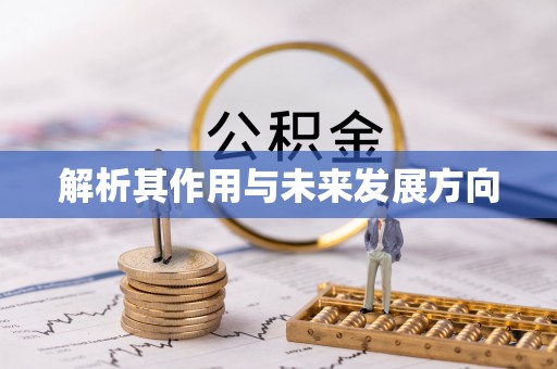 黄陂解析其作用与未来发展方向