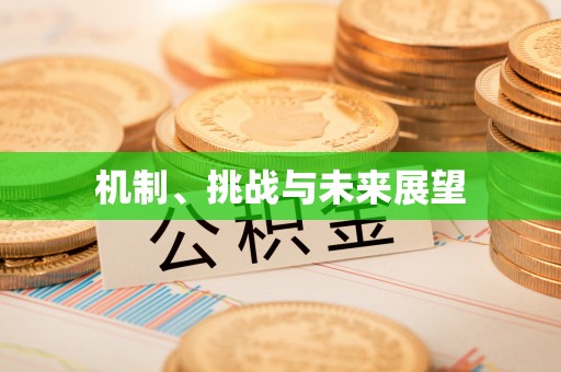 黄陂机制、挑战与未来展望