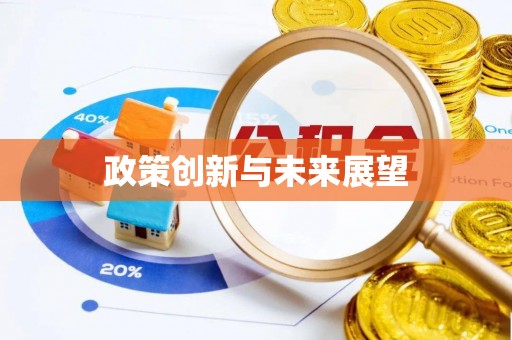 黄陂政策创新与未来展望