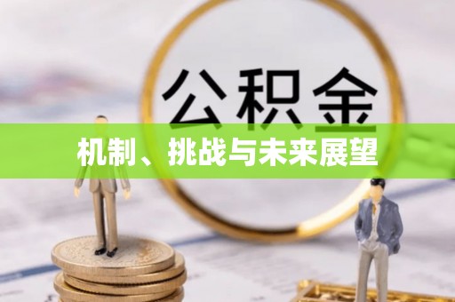 黄陂机制、挑战与未来展望